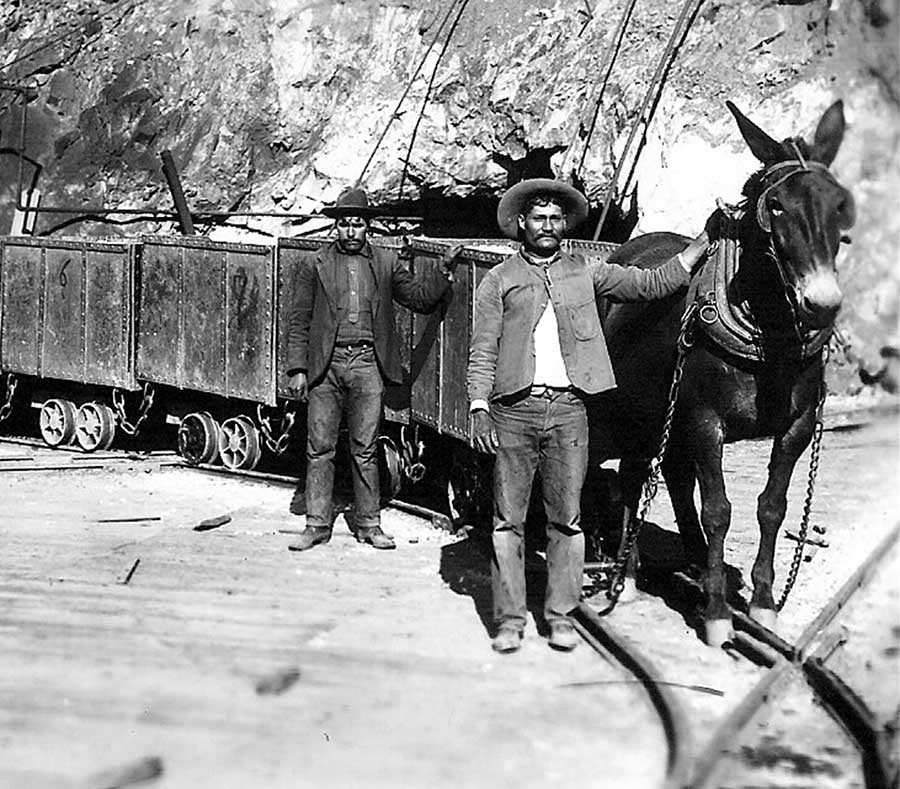 Mule-drawn carts were used to haul ore in the early days of Morenci.